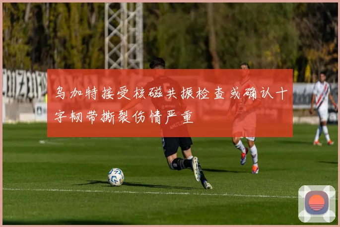 乌加特接受核磁共振检查或确认十字韧带撕裂伤情严重
