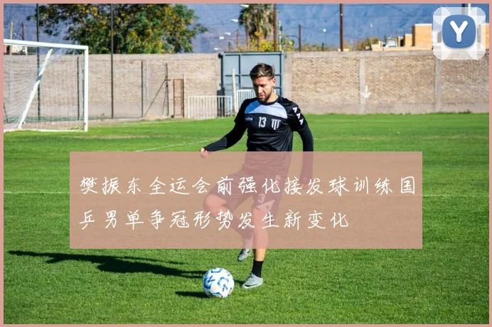 樊振东全运会前强化接发球训练国乒男单争冠形势发生新变化